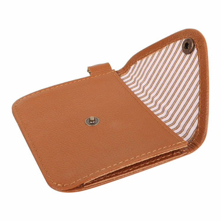 Coin Wallet Stripe